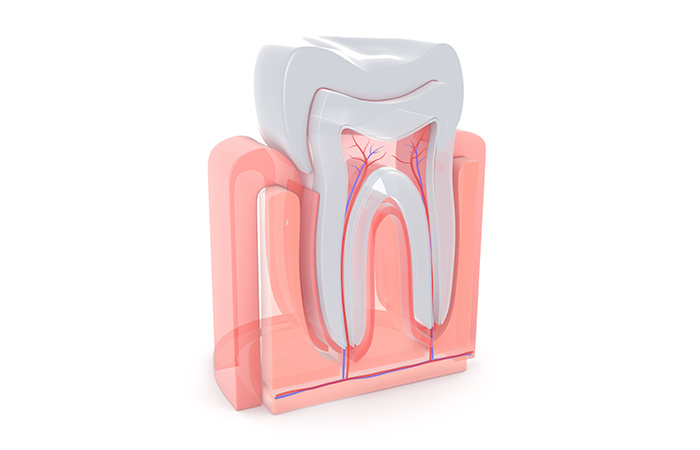 当院の根管治療（歯内療法）のコンセプト